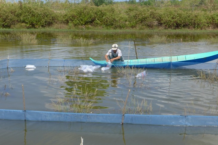 Adaptation of shrimp farming to climate change - ảnh 2